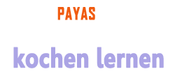 LogoLernen-White-Lila2-PAYASforKarten copy250